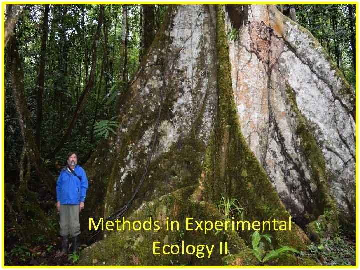 Methods in Experimental Ecology II 