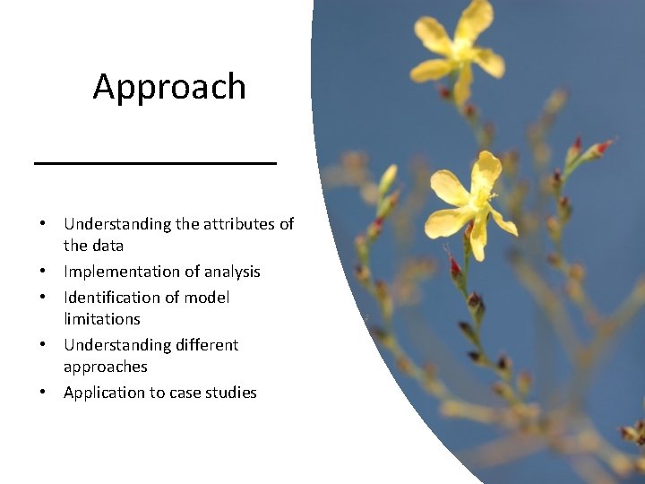Approach • Understanding the attributes of the data • Implementation of analysis • Identification