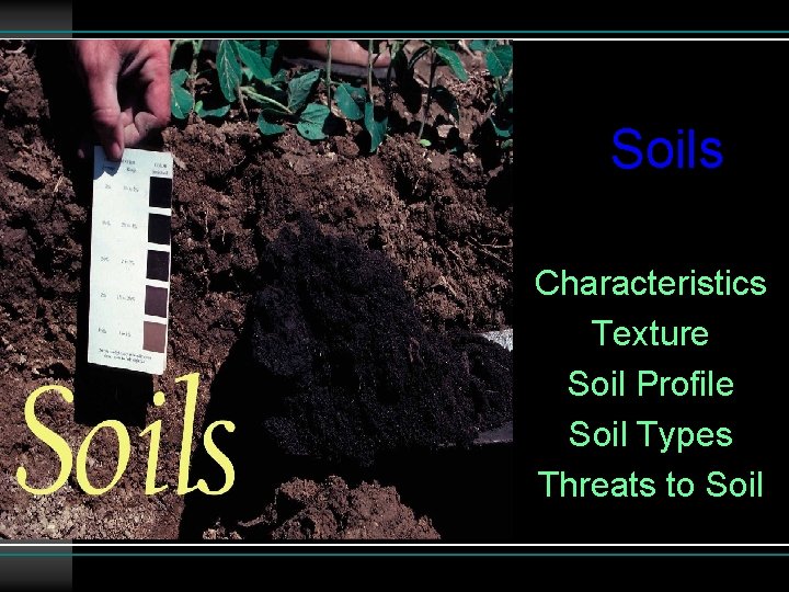 Soils Characteristics Texture Soil Profile Soil Types Threats to Soil 