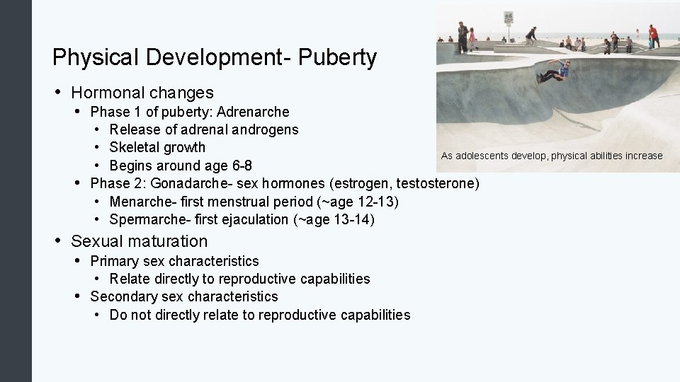 Physical Development- Puberty • Hormonal changes • Phase 1 of puberty: Adrenarche • •