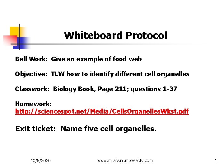 Whiteboard Protocol Bell Work: Give an example of food web Objective: TLW how to