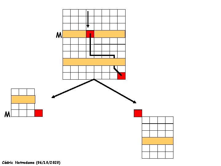 M M Cédric Notredame (06/10/2020) 