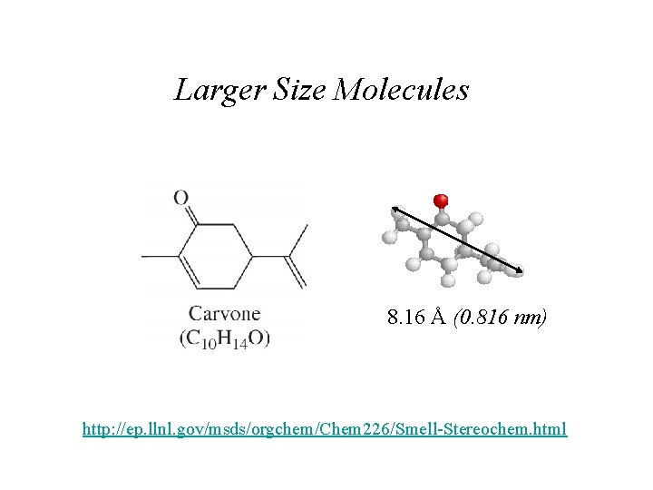 Larger Size Molecules 8. 16 Å (0. 816 nm) http: //ep. llnl. gov/msds/orgchem/Chem 226/Smell-Stereochem.