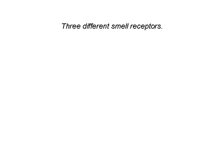 Three different smell receptors. 
