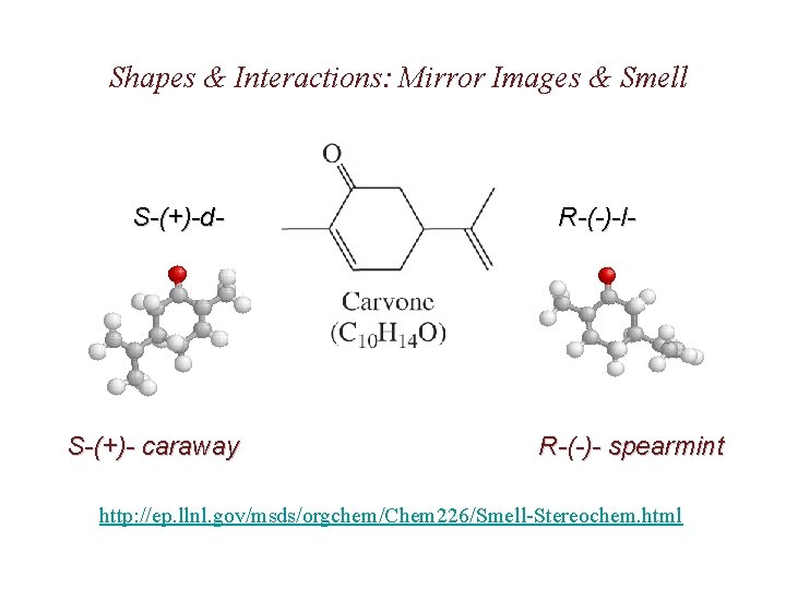 Shapes & Interactions: Mirror Images & Smell S-(+)-d- S-(+)- caraway R-(-)-l- R-(-)- spearmint http: