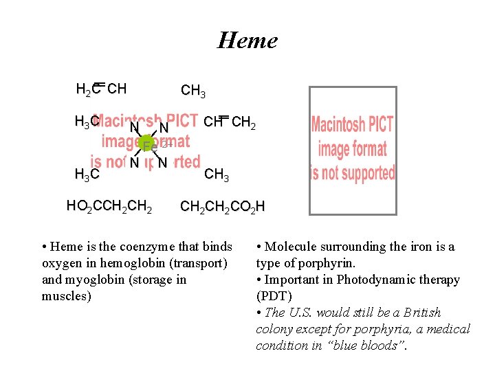 Heme H 2 C CH H 3 C CH 3 N N Fe 2+