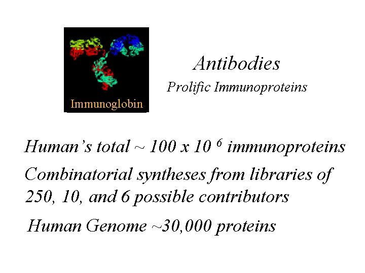 Antibodies Prolific Immunoproteins Immunoglobin Human’s total ~ 100 x 10 6 immunoproteins Combinatorial syntheses