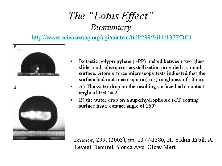 The “Lotus Effect” Biomimicry http: //www. sciencemag. org/cgi/content/full/299/5611/1377/DC 1 • • • Isotactic polypropylene