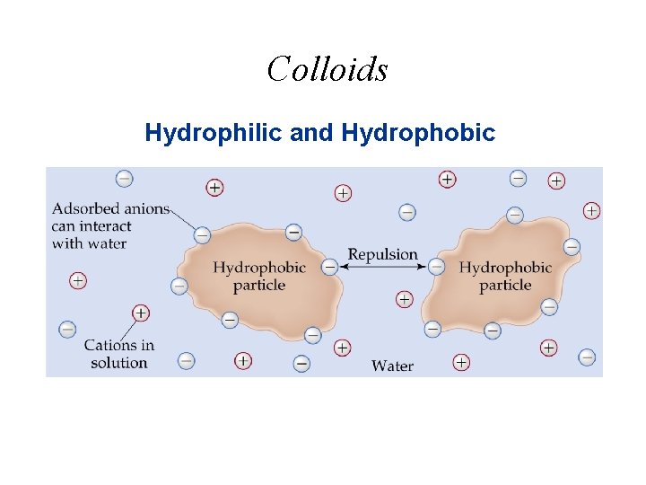Colloids Hydrophilic and Hydrophobic 