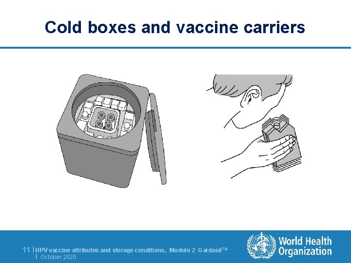 Cold boxes and vaccine carriers 11 | HPV vaccine attributes and storage conditions, |