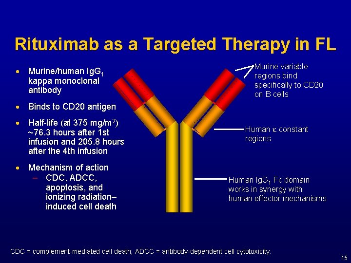 Rituximab as a Targeted Therapy in FL · Murine/human Ig. G 1 kappa monoclonal