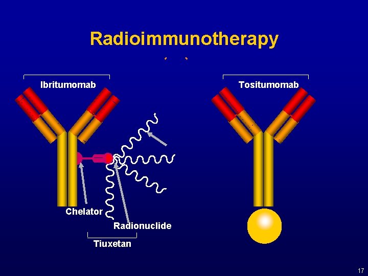 Radioimmunotherapy Ibritumomab Tositumomab Chelator Radionuclide Tiuxetan 17 