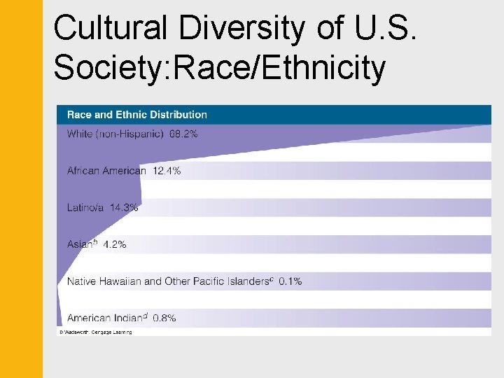 Cultural Diversity of U. S. Society: Race/Ethnicity 