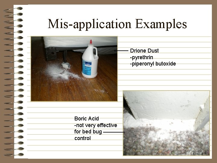 Mis-application Examples Drione Dust -pyrethrin -piperonyl butoxide Boric Acid -not very effective for bed