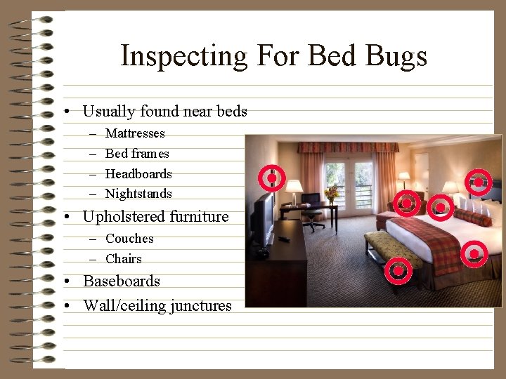 Inspecting For Bed Bugs • Usually found near beds – – Mattresses Bed frames