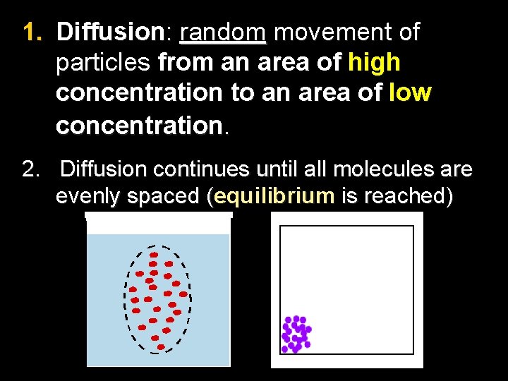1. Diffusion: random movement of particles from an area of high concentration to an
