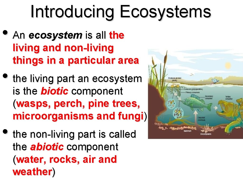 Introducing Ecosystems • An ecosystem is all the living and non-living things in a