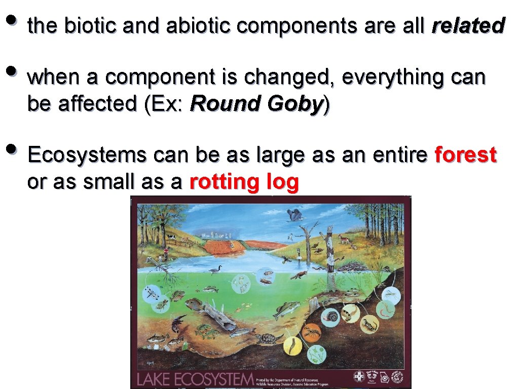  • the biotic and abiotic components are all related • when a component