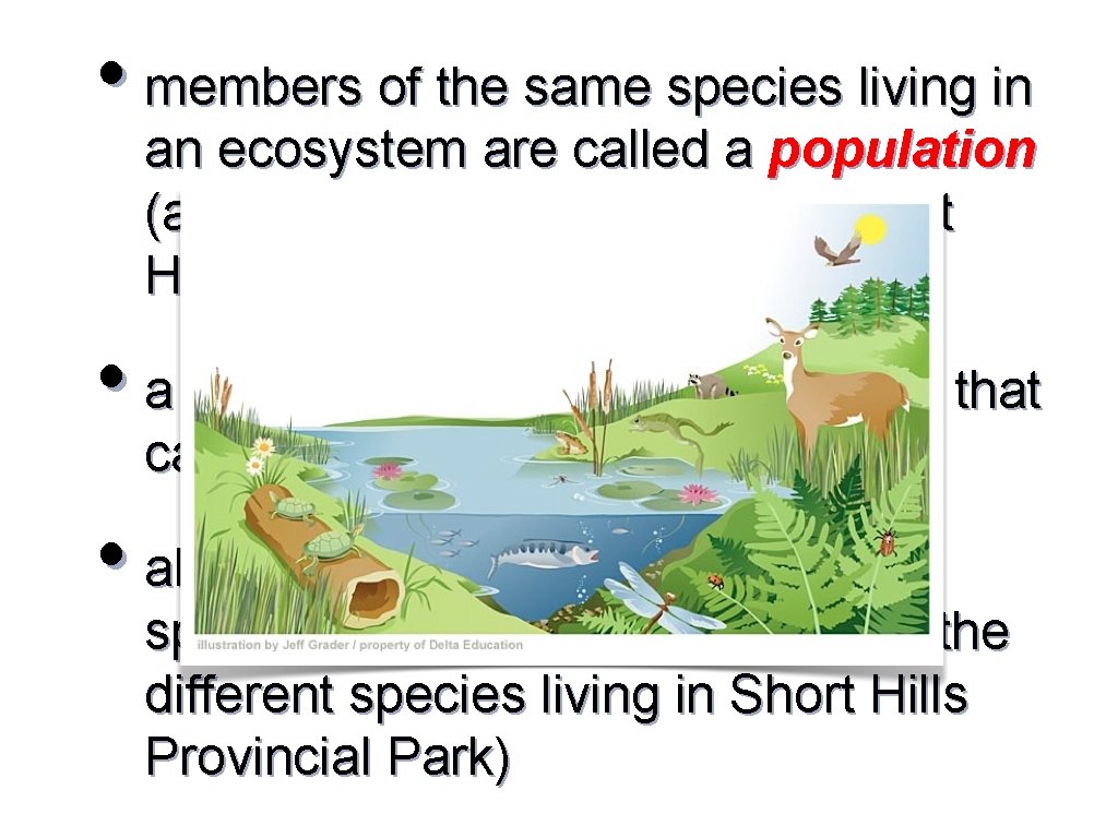  • members of the same species living in an ecosystem are called a