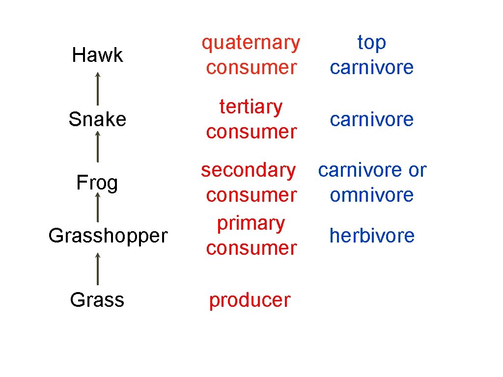 Hawk quaternary consumer top carnivore Snake tertiary consumer carnivore Frog Grasshopper Grass secondary carnivore