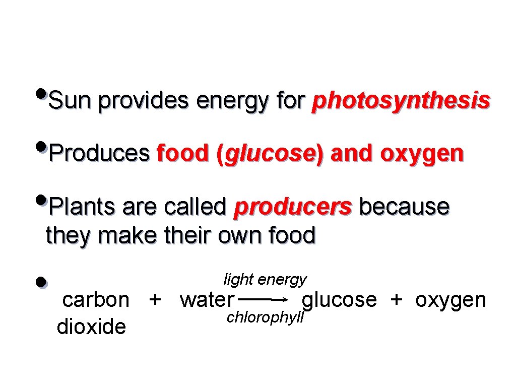  • Sun provides energy for photosynthesis • Produces food (glucose) and oxygen •