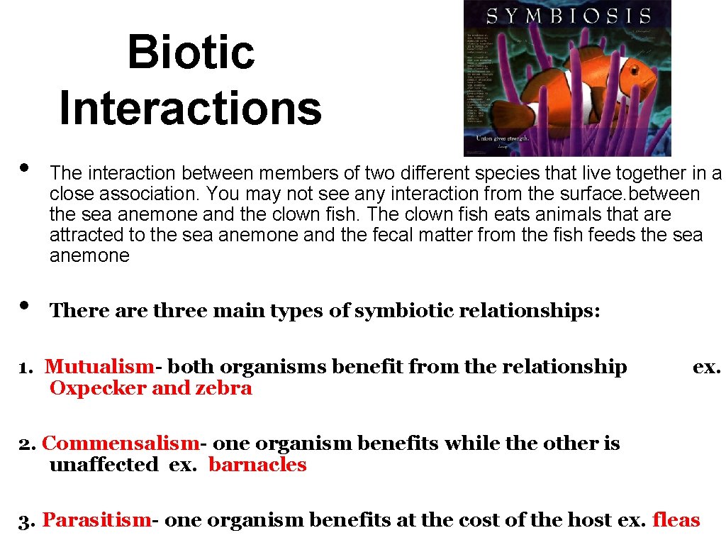 Biotic Interactions • • The interaction between members of two different species that live