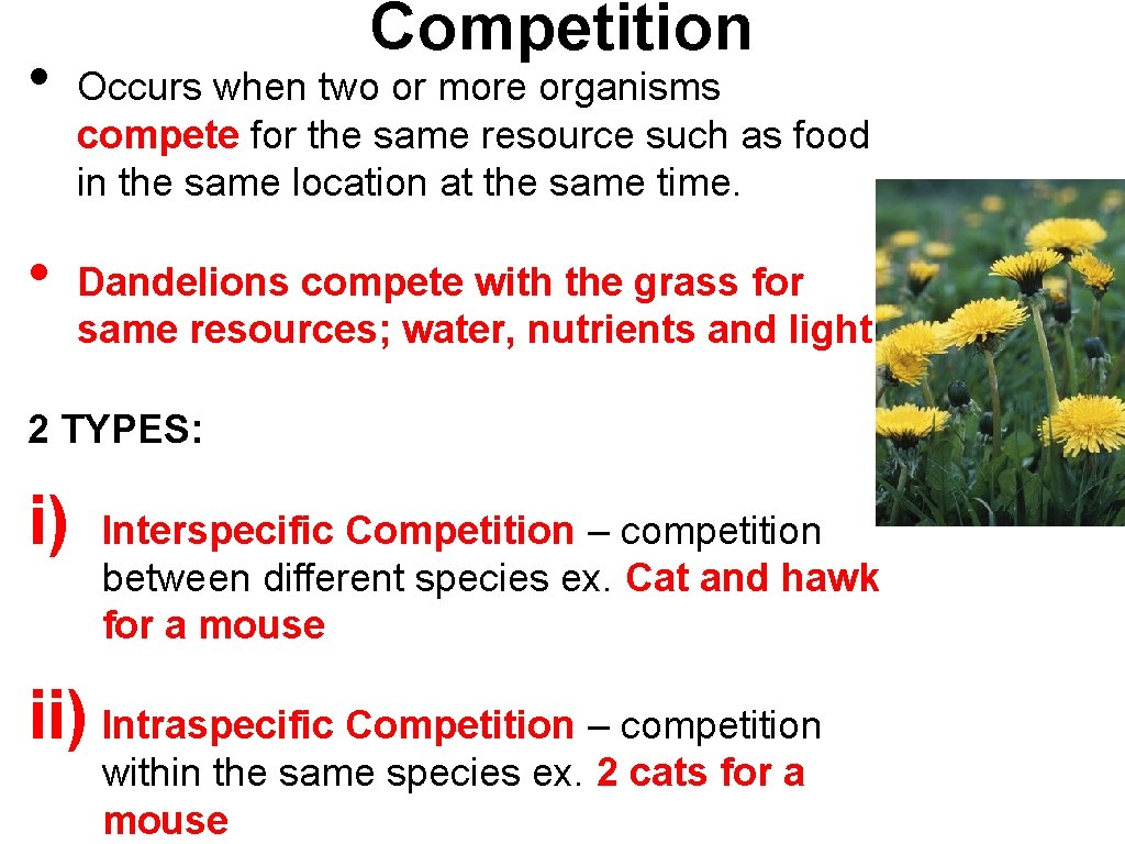  • • Competition Occurs when two or more organisms compete for the same