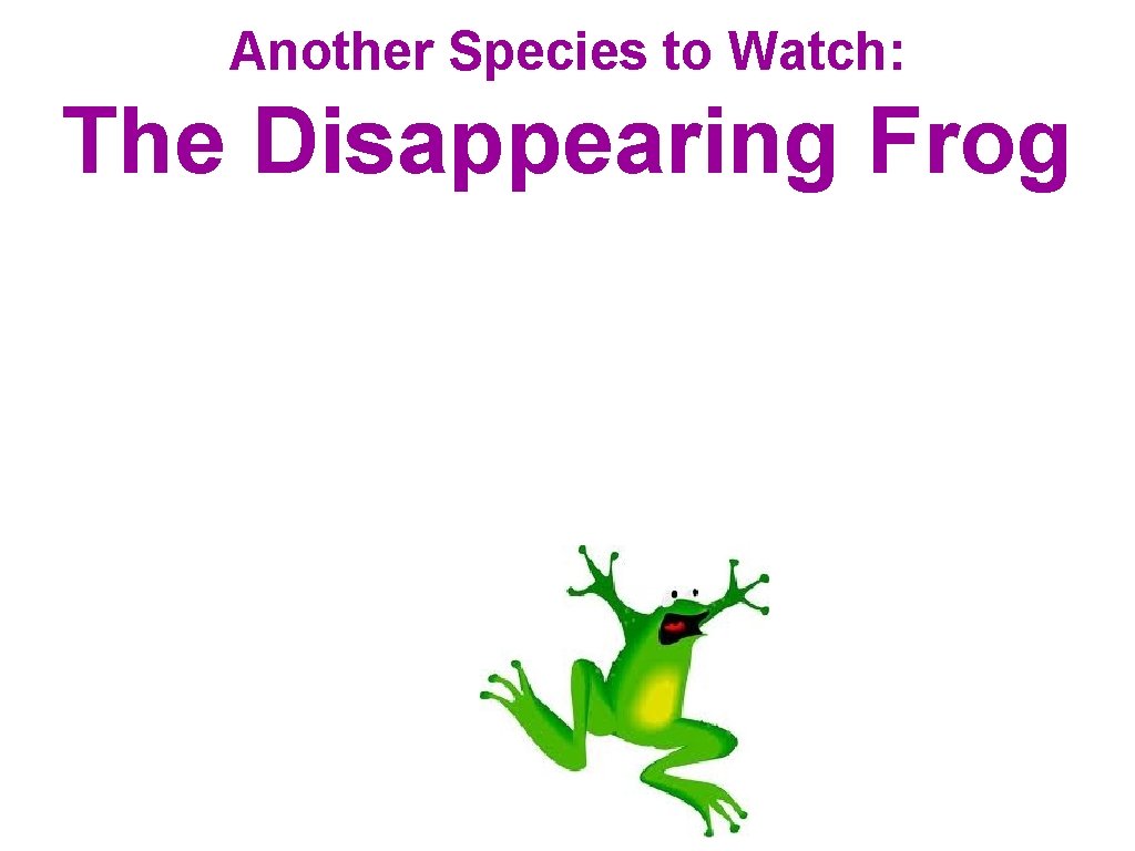 Another Species to Watch: The Disappearing Frog 
