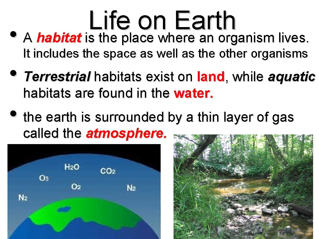 Life on Earth • A habitat is the place where an organism lives. •