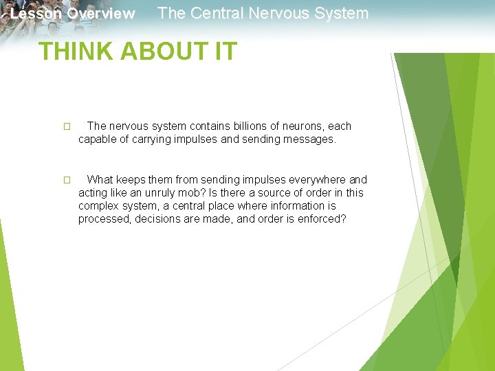 Lesson Overview The Central Nervous System THINK ABOUT IT � The nervous system contains
