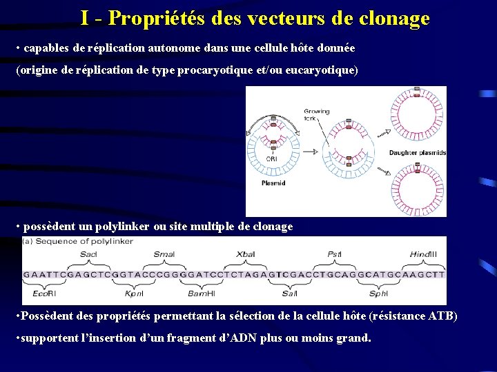 I - Propriétés des vecteurs de clonage • capables de réplication autonome dans une