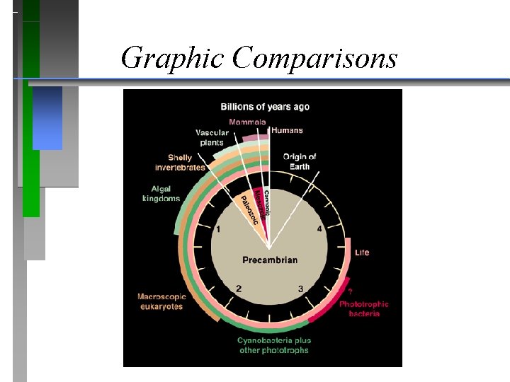 Graphic Comparisons 