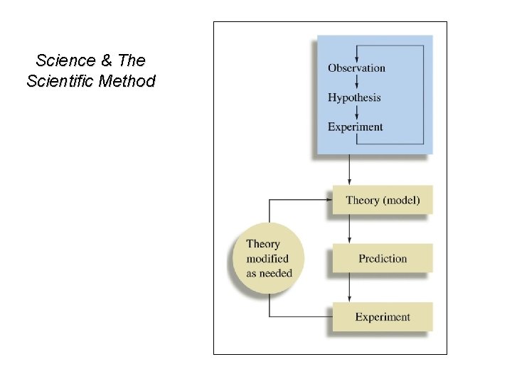 Science & The Scientific Method 