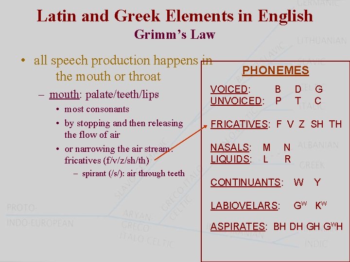 Latin and Greek Elements in English Grimm’s Law • all speech production happens in