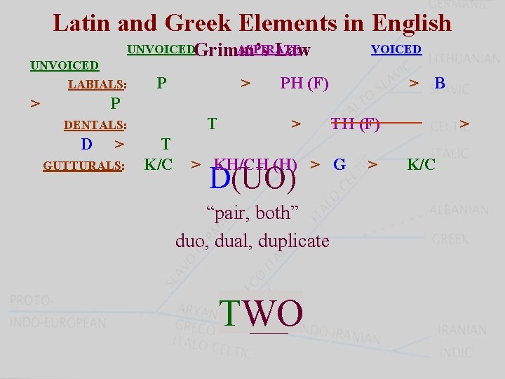 Latin and Greek Elements in English UNVOICEDGrimm’s ASPIRATE Law UNVOICED LABIALS: > PH (F)