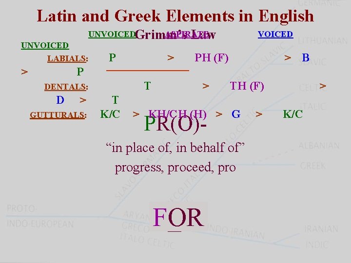 Latin and Greek Elements in English UNVOICEDGrimm’s ASPIRATE Law UNVOICED LABIALS: > P P