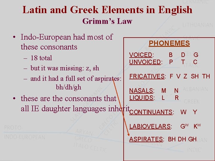 Latin and Greek Elements in English Grimm’s Law • Indo-European had most of these