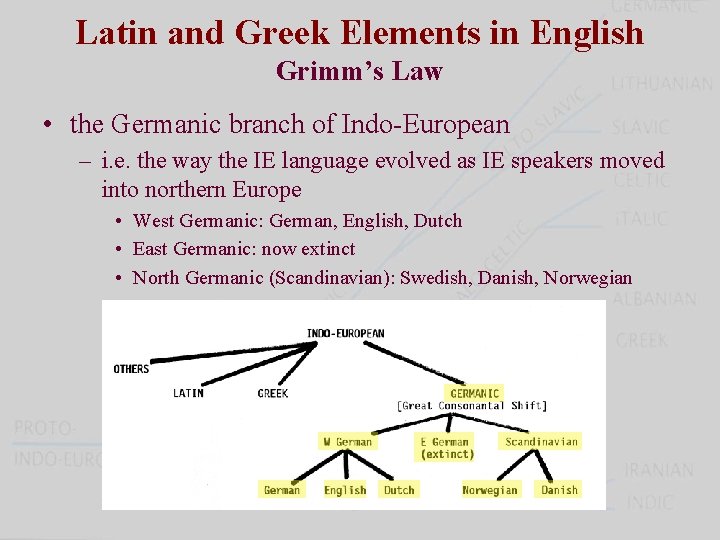 Latin and Greek Elements in English Grimm’s Law • the Germanic branch of Indo-European