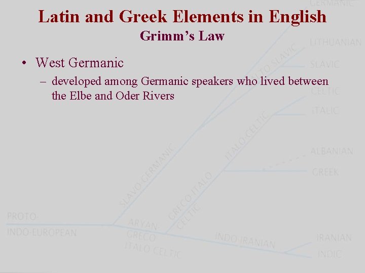 Latin and Greek Elements in English Grimm’s Law • West Germanic – developed among