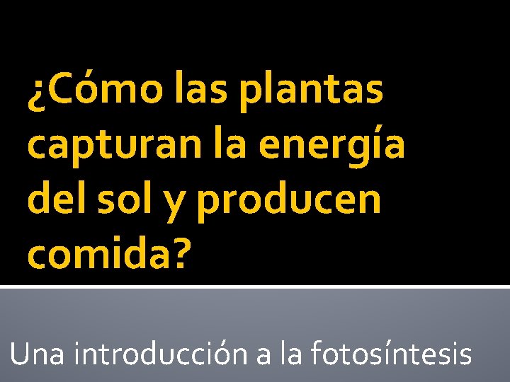 ¿Cómo las plantas capturan la energía del sol y producen comida? Una introducción a