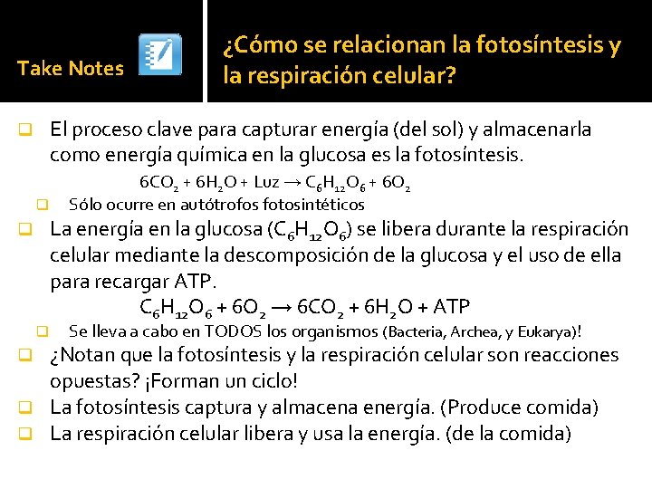 Take Notes ¿Cómo se relacionan la fotosíntesis y la respiración celular? El proceso clave