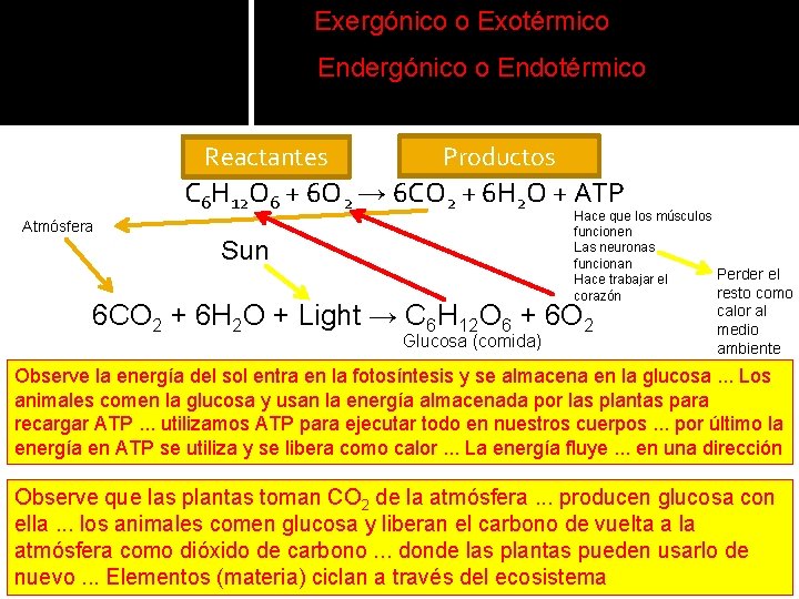 Exergónico o Exotérmico Endergónico o Endotérmico Reactantes Productos C 6 H 12 O 6