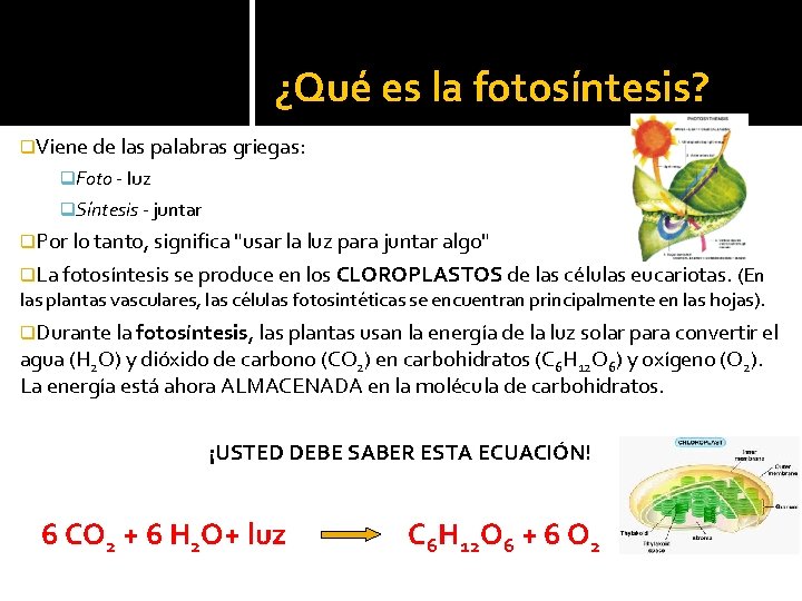 ¿Qué es la fotosíntesis? q. Viene de las palabras griegas: q. Foto - luz