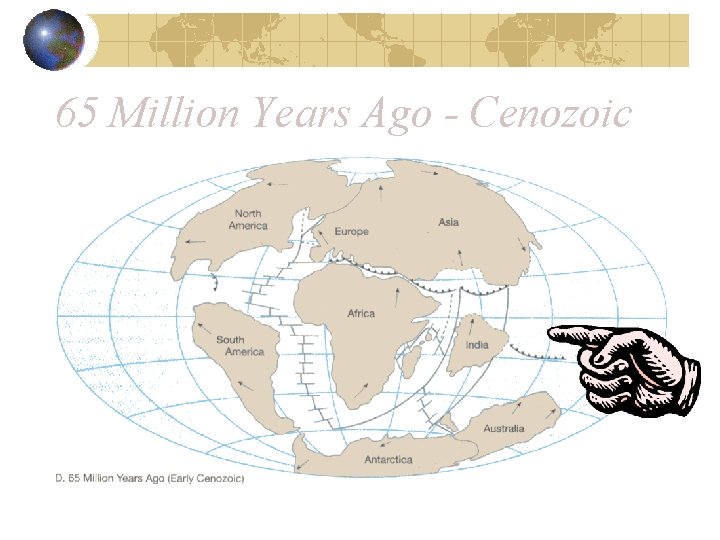 65 Million Years Ago - Cenozoic 