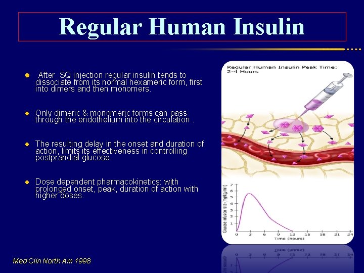 Regular Human Insulin l After SQ injection regular insulin tends to l Only dimeric