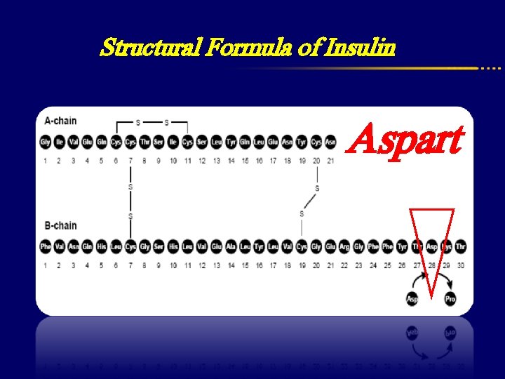  Structural Formula of Insulin Aspart 