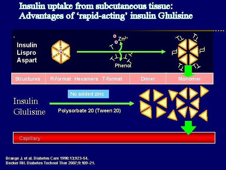 Insulin uptake from subcutaneous tissue: Advantages of ‘rapid-acting’ insulin Glulisine T T T Polysorbate