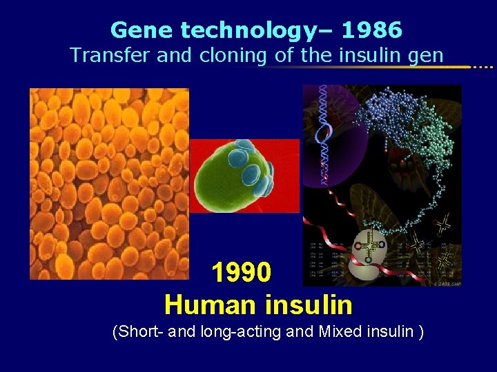 Gene technology– 1986 Transfer and cloning of the insulin gen 1990 Human insulin (Short-