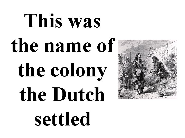 This was the name of the colony the Dutch settled 