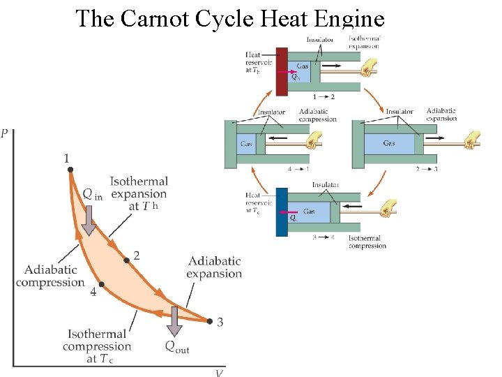 The Carnot Cycle Heat Engine 